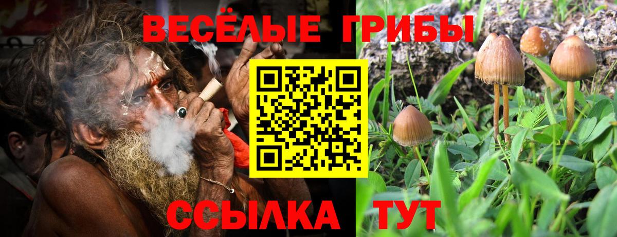 Псилоцибиновые грибы прущие грибы Симферополь