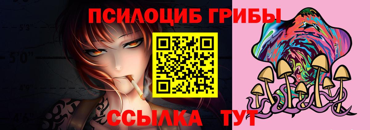 закладка  Псилоцибиновые грибы Psilocybine cubensis  Вход с VPN  Симферополь  Галлюциногенные грибы Psilocybine cubensis 